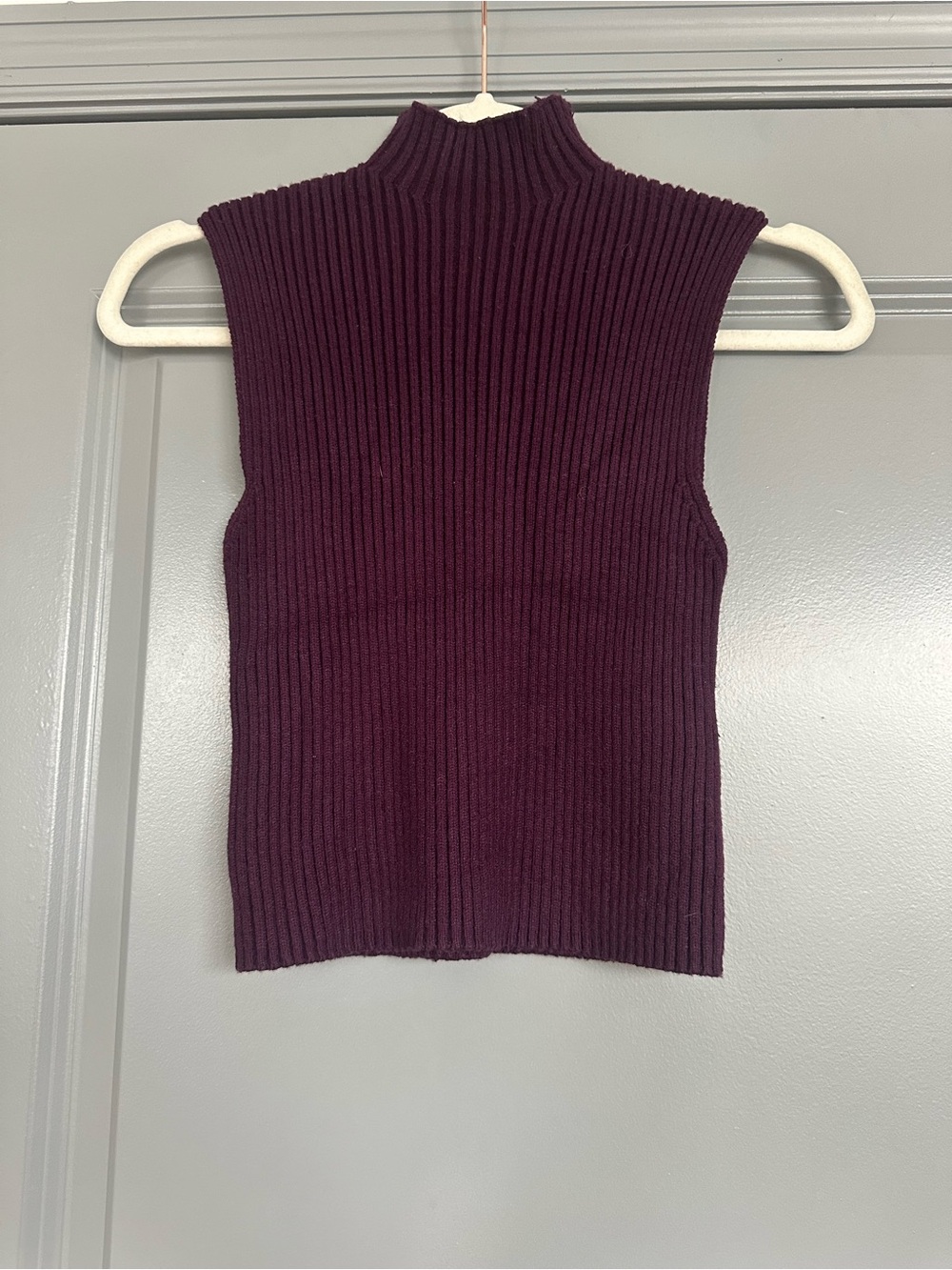 Zara Sleeveless Ribbed Mock Neck Tank - Plum